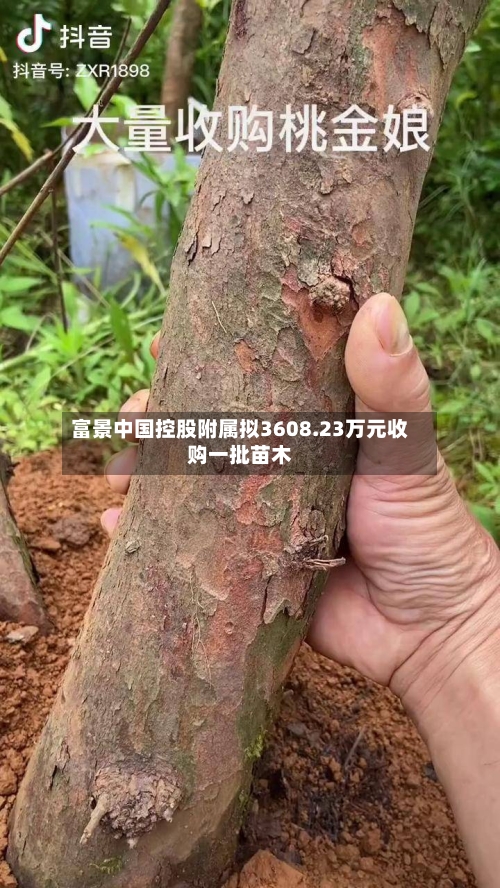 富景中国控股附属拟3608.23万元收购一批苗木