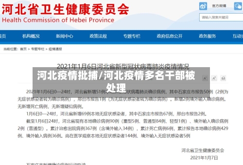 河北疫情批捕/河北疫情多名干部被处理