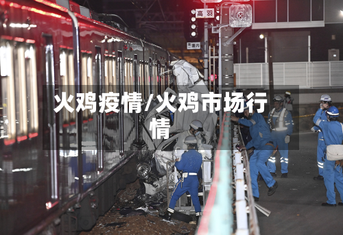 火鸡疫情/火鸡市场行情-第2张图片