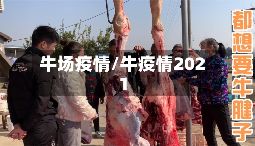 牛场疫情/牛疫情2021