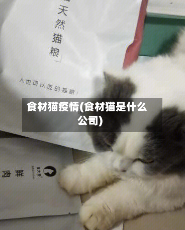 食材猫疫情(食材猫是什么公司)-第3张图片