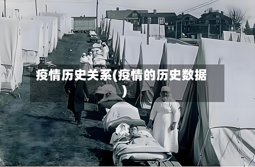 疫情历史关系(疫情的历史数据)