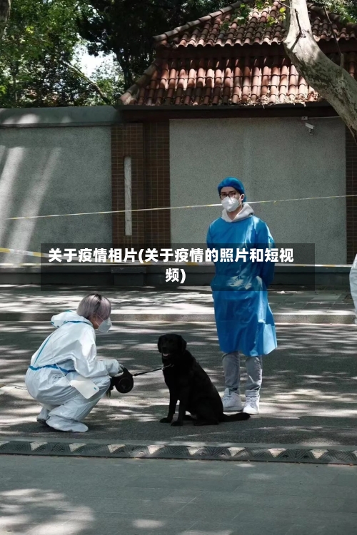 关于疫情相片(关于疫情的照片和短视频)-第2张图片