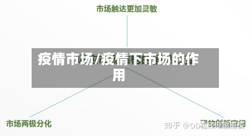 疫情市场/疫情下市场的作用-第2张图片