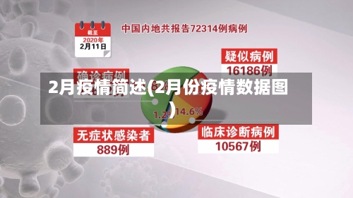 2月疫情简述(2月份疫情数据图)