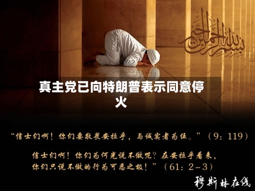 真主党已向特朗普表示同意停火