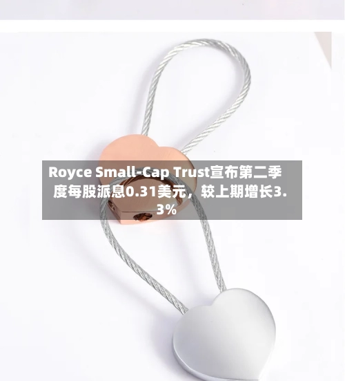 Royce Small-Cap Trust宣布第二季度每股派息0.31美元，较上期增长3.3%-第2张图片