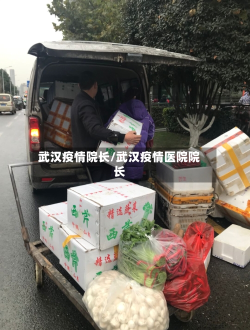 武汉疫情院长/武汉疫情医院院长-第2张图片
