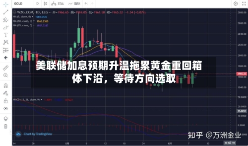 美联储加息预期升温拖累黄金重回箱体下沿，等待方向选取-第2张图片
