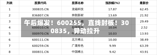 午后爆发！600255	，直线封板！300835，异动拉升-第2张图片
