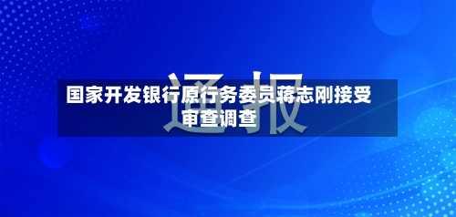 国家开发银行原行务委员蒋志刚接受审查调查