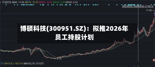 博硕科技(300951.SZ)：拟推2026年员工持股计划-第2张图片