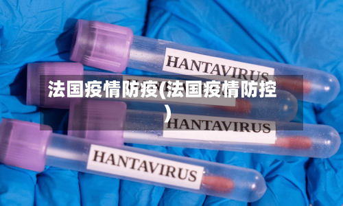 法国疫情防疫(法国疫情防控)