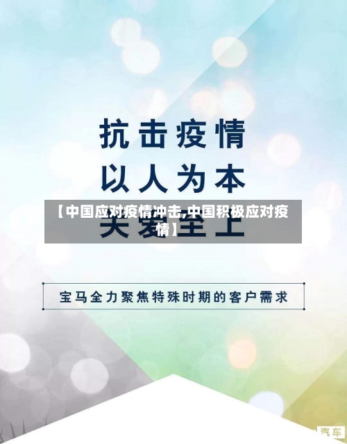 【中国应对疫情冲击,中国积极应对疫情】-第2张图片