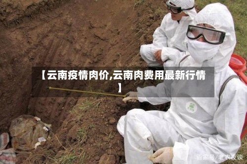 【云南疫情肉价,云南肉费用最新行情】-第3张图片