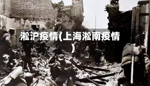 淞沪疫情(上海淞南疫情)-第2张图片