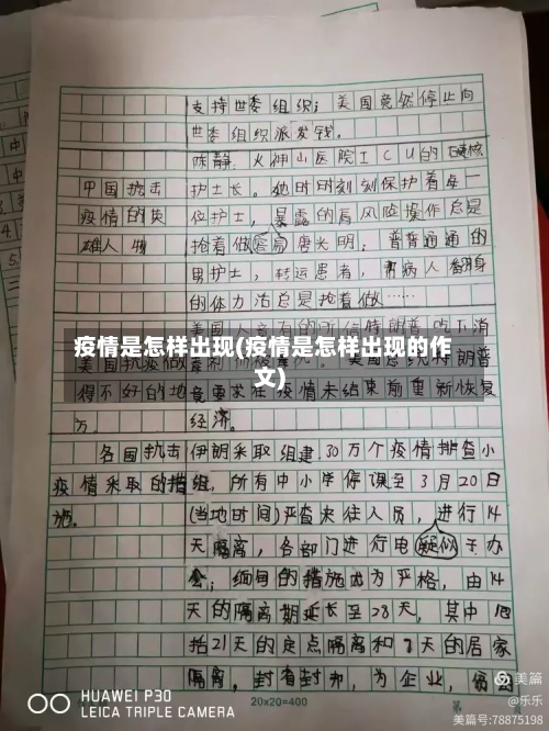 疫情是怎样出现(疫情是怎样出现的作文)-第2张图片