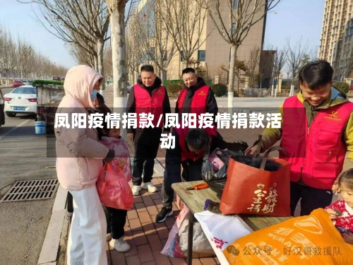 凤阳疫情捐款/凤阳疫情捐款活动