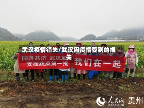 武汉疫情错失/武汉因疫情受到的损失-第2张图片