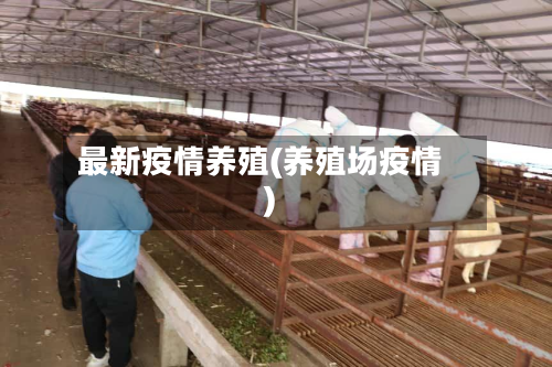 最新疫情养殖(养殖场疫情)