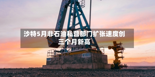 沙特5月非石油私营部门扩张速度创三个月新高-第3张图片