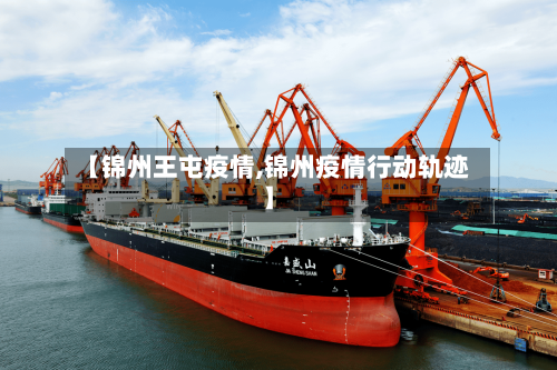 【锦州王屯疫情,锦州疫情行动轨迹】