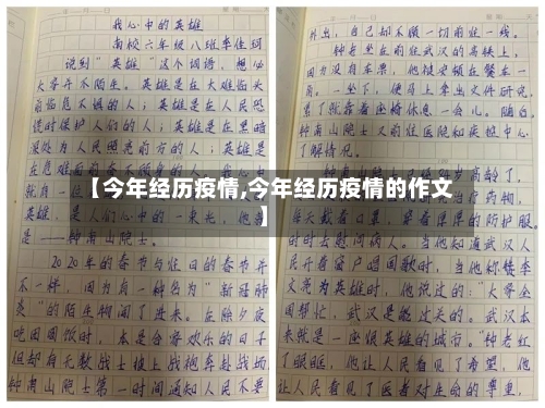 【今年经历疫情,今年经历疫情的作文】