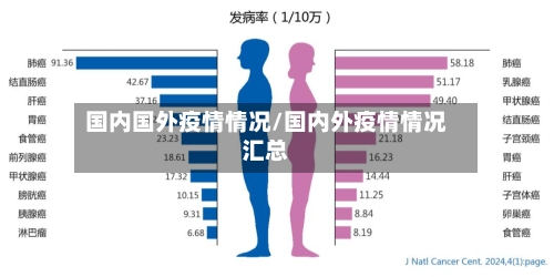 国内国外疫情情况/国内外疫情情况汇总-第2张图片