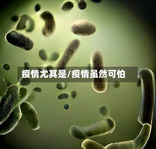 疫情尤其是/疫情虽然可怕