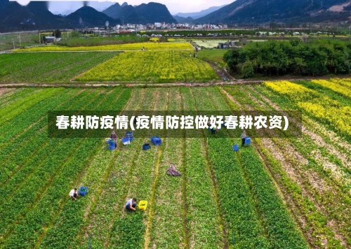 春耕防疫情(疫情防控做好春耕农资)
