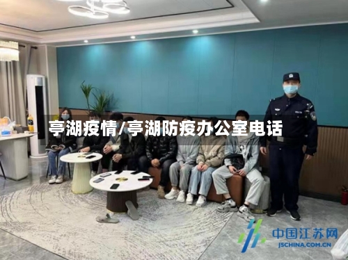 亭湖疫情/亭湖防疫办公室电话