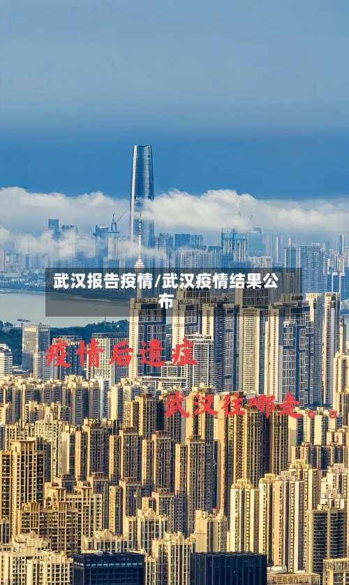 武汉报告疫情/武汉疫情结果公布