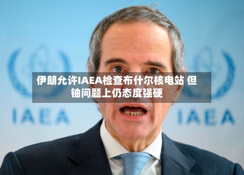伊朗允许IAEA检查布什尔核电站 但铀问题上仍态度强硬