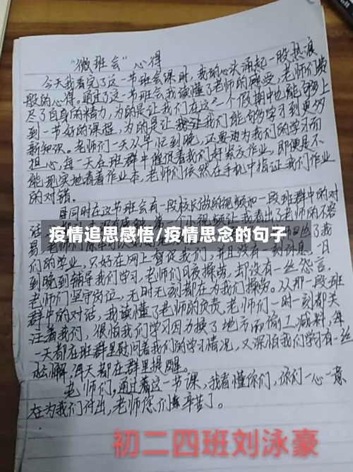 疫情追思感悟/疫情思念的句子-第2张图片
