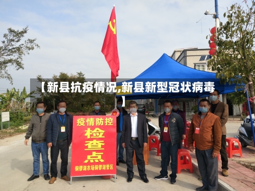 【新县抗疫情况,新县新型冠状病毒】-第3张图片
