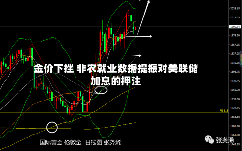 金价下挫 非农就业数据提振对美联储加息的押注-第3张图片