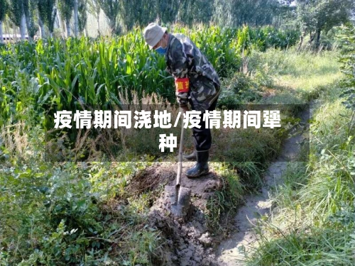 疫情期间浇地/疫情期间犟种-第2张图片