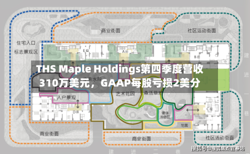 THS Maple Holdings第四季度营收310万美元，GAAP每股亏损2美分-第2张图片
