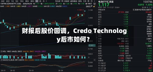 财报后股价回调，Credo Technology后市如何？-第2张图片