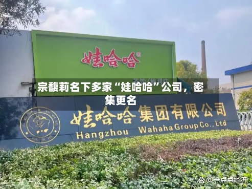 宗馥莉名下多家“娃哈哈	”公司，密集更名-第2张图片
