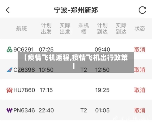 【疫情飞机返程,疫情飞机出行政策】-第3张图片