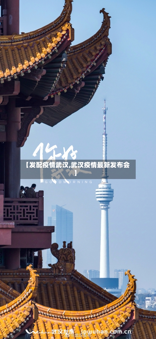 【发配疫情武汉,武汉疫情最新发布会】