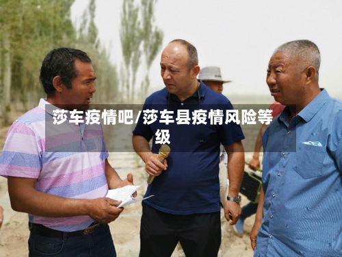 莎车疫情吧/莎车县疫情风险等级
