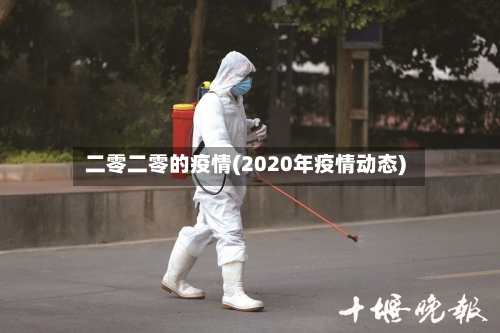 二零二零的疫情(2020年疫情动态)-第3张图片