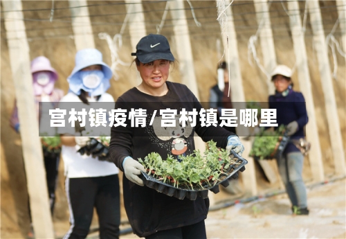宫村镇疫情/宫村镇是哪里-第2张图片