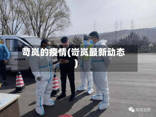 苛岚的疫情(岢岚最新动态)-第3张图片