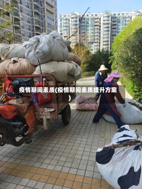 疫情期间素质(疫情期间素质提升方案)