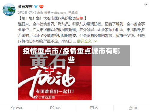 疫情重点市/疫情重点城市有哪些