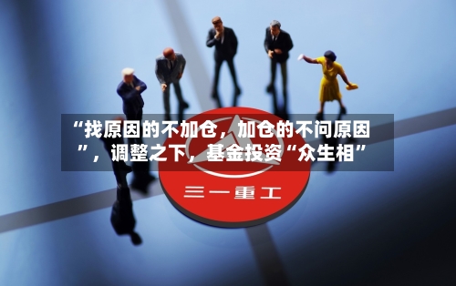 “找原因的不加仓	，加仓的不问原因	”，调整之下，基金投资“众生相”-第3张图片