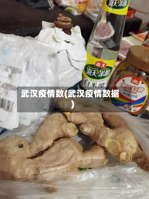 武汉疫情数(武汉疫情数据)